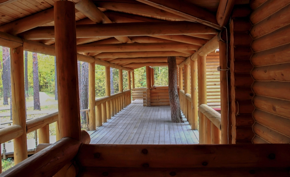 Log Rot Repair Services - Sunapee NH